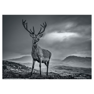 Homeland by David Yarrow, 2020 – Photography artwork