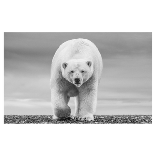 The North Slope by David Yarrow, 2018 – Photography artwork