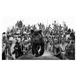 I Am Black Panther by David Yarrow, 2021 – Photography artwork