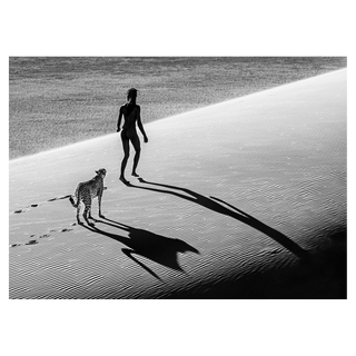 On The Catwalk by David Yarrow, 2013 – Photography artwork