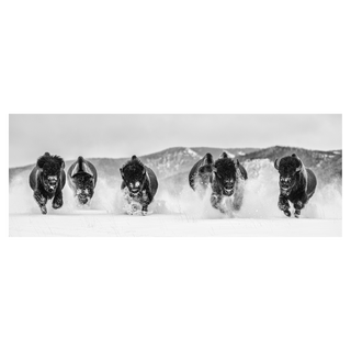 The Bills II by David Yarrow, 2021 – Photography artwork