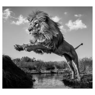 O Captain! My Captain! by David Yarrow, 2024 – Photography artwork