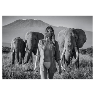 Nobody's Trophy by David Yarrow, 2020 – Photography artwork