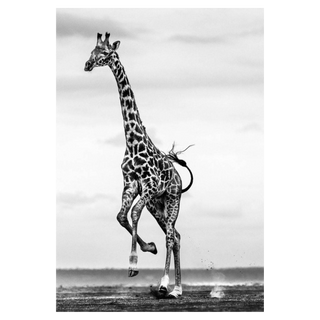 Hoof It by David Yarrow, 2014 – Photography artwork