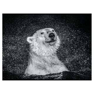Open Water by David Yarrow, 2018 – Photography artwork