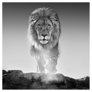 Old Testament by David Yarrow, 2017 – Photography artwork