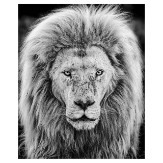 Gandalf by David Yarrow, 2019 – Photography artwork
