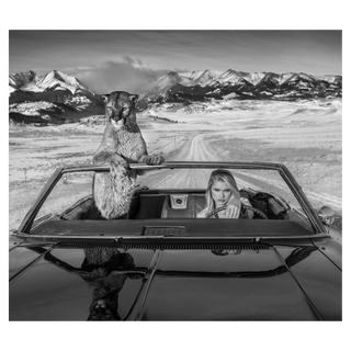 No Country for Old Men by David Yarrow, 2019 – Photography artwork