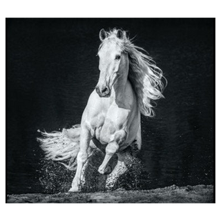 Horsepower by David Yarrow, 2020 – Photography artwork