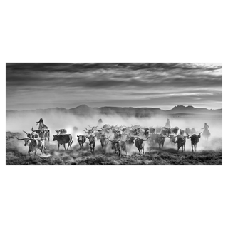 The Thundering Herd by David Yarrow, 2021 – Photography artwork