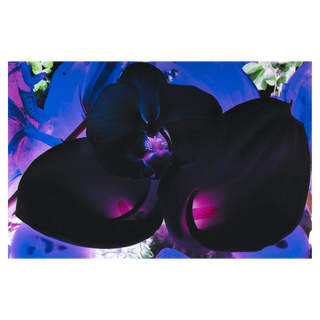At the Far Edges of the Universe #6 by Marc Quinn, 2010 – Prints artwork