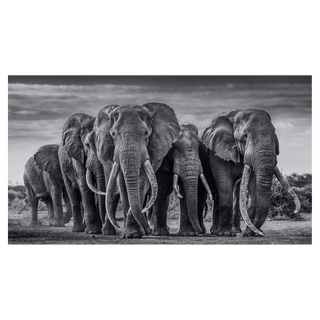 The Pack by David Yarrow, 2019 – Photography artwork
