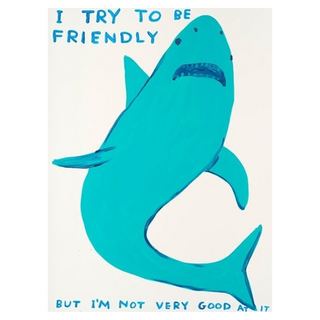 I Try To Be Friendly by David Shrigley, 2022 – Prints artwork
