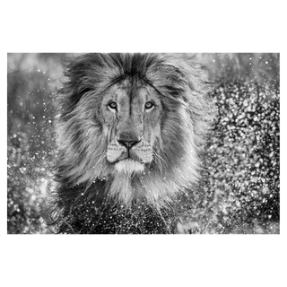 Waterworld by David Yarrow, 2023 – Photography artwork