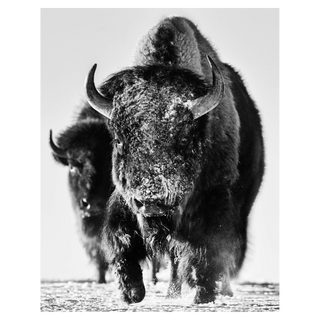 Snow Monster by David Yarrow, 2023 – Photography artwork