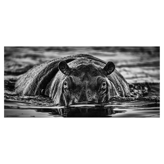 The Last Dance by David Yarrow, 2020 – Photography artwork
