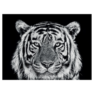 Rajasthan by David Yarrow, 2019 – Photography artwork
