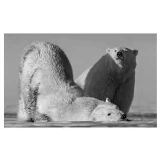 Monday Morning by David Yarrow, 2016 – Photography artwork