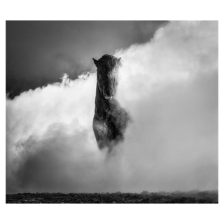 66 Degrees North by David Yarrow, 2022 – Photography artwork