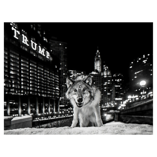 It's Only a Matter of Time by David Yarrow, 2016 – Photography artwork