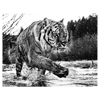 Mystic River by David Yarrow, 2015 – Photography artwork
