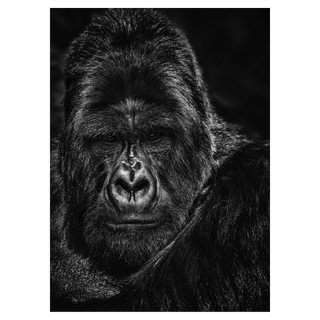 The Thinker by David Yarrow, 2020 – Photography artwork