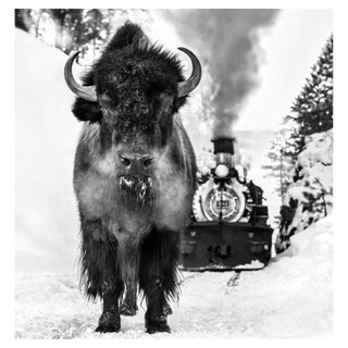 I Walk The Line by David Yarrow, 2024 – Photography artwork