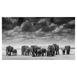 The Crossing by David Yarrow, 2017 – Photography artwork