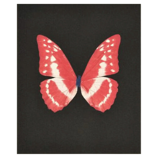 Eternal Rest by Damien Hirst, 2009 – Prints artwork