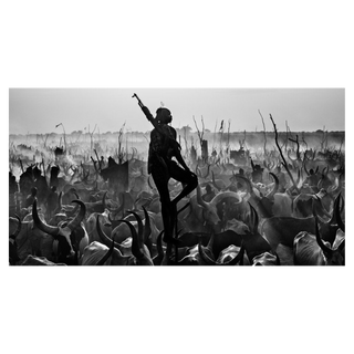 The Proud Nightwatchman by David Yarrow, 2015 – Photography artwork