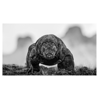 The Dragon's Den by David Yarrow, 2024 – Photography artwork