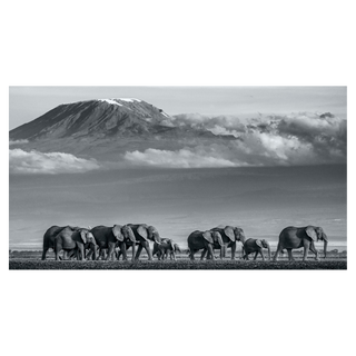 Walk the Line II by David Yarrow, 2019 – Photography artwork