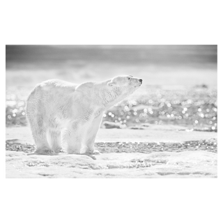 The Emperor of the North by David Yarrow, 2017 – Photography artwork