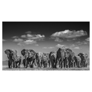 Elephant Uprising by David Yarrow, 2016 – Photography artwork