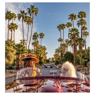 Don't Worry Darling by David Yarrow, 2023 – Photography artwork
