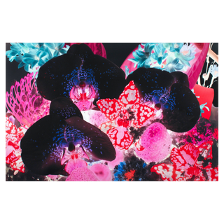 At the Far Edges of the Universe #1 by Marc Quinn, 2015 – Prints artwork