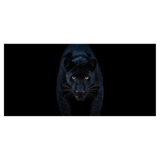 Black Magic (Colour) by David Yarrow, 2025 – Photography artwork