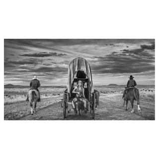Amarillo By Morning by David Yarrow, 2020 – Photography artwork
