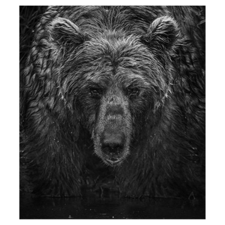 Wet Wet Wet by David Yarrow, 2023 – Photography artwork