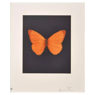 Butterfly (Hope) by Damien Hirst, 2009 – Prints artwork