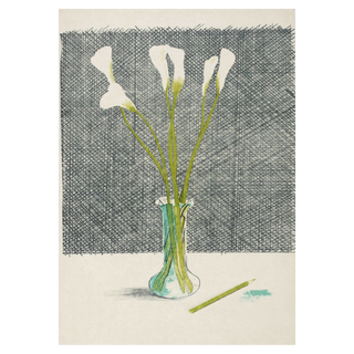 Lillies, from Europäische Graphik No VII by David Hockney, 1971 – Prints artwork