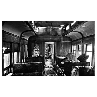Ride The Ghost Train by David Yarrow, 2015 – Photography artwork