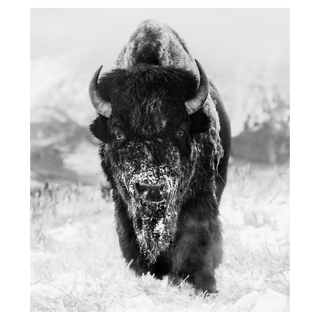 The Snowman by David Yarrow, 2023 – Photography artwork
