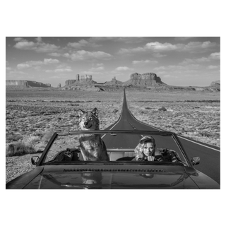 Road Trip 2 by David Yarrow, 2018 – Photography artwork