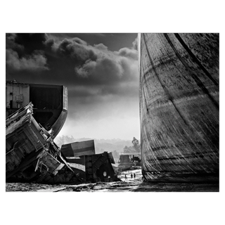 Antz by David Yarrow, 2014 – Photography artwork