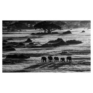Dawn Commute by David Yarrow, 2014 – Photography artwork