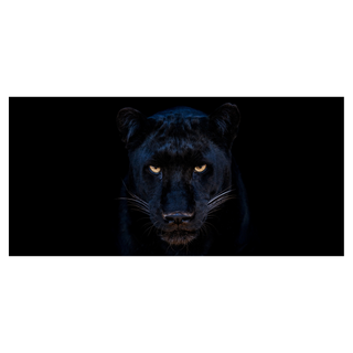 The Black Panther Club (Colour) by David Yarrow, 2025 – Photography artwork