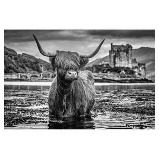 Back to School by David Yarrow, 2019 – Photography artwork