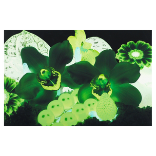 At the Far Edges of the Universe #7 by Marc Quinn, 2010 – Prints artwork