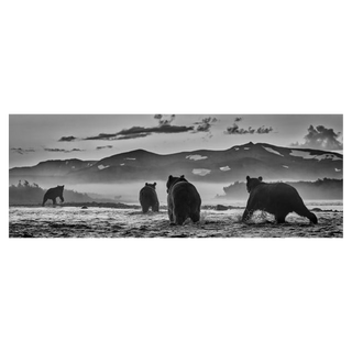 Bear Market by David Yarrow, 2023 – Photography artwork